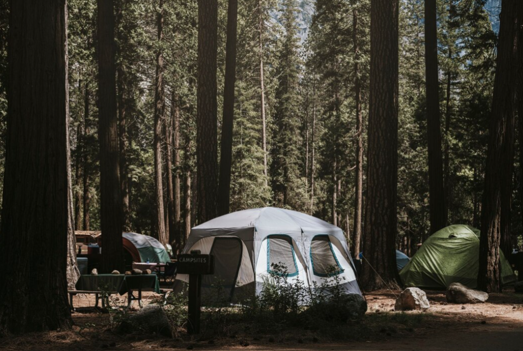 Jungle Tent